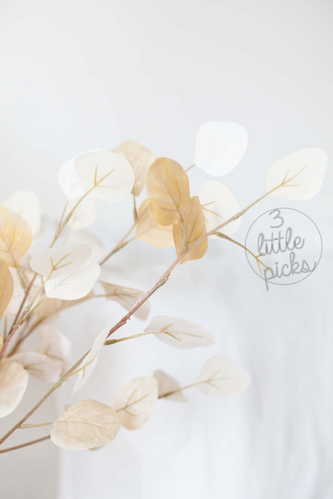 COMING BACK: Bleached Effect Eucalyptus Foliage Stems, Decor, 3littlepicks - 3LittlePicks