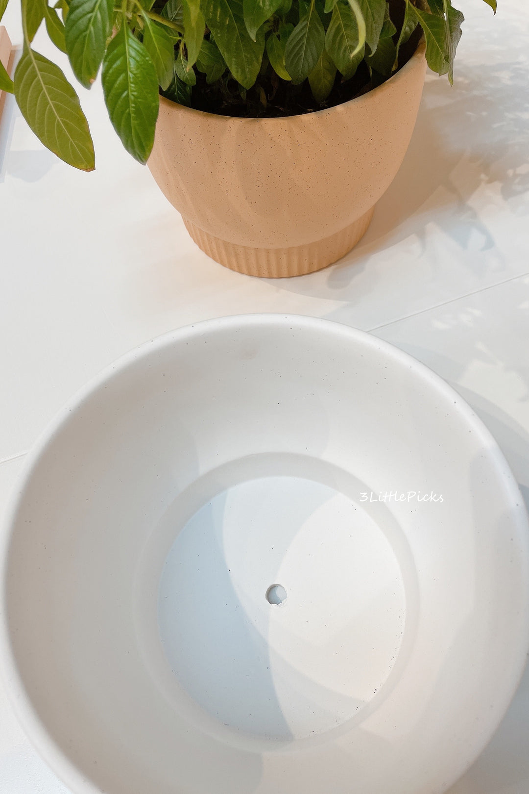 Speckled Medium Flowerpots