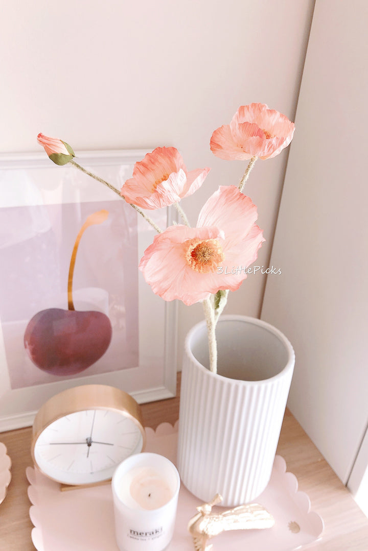 Coral Poppy