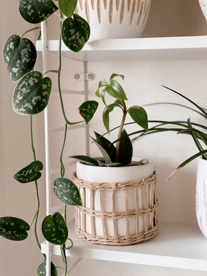 Speckled White & Woven Planter