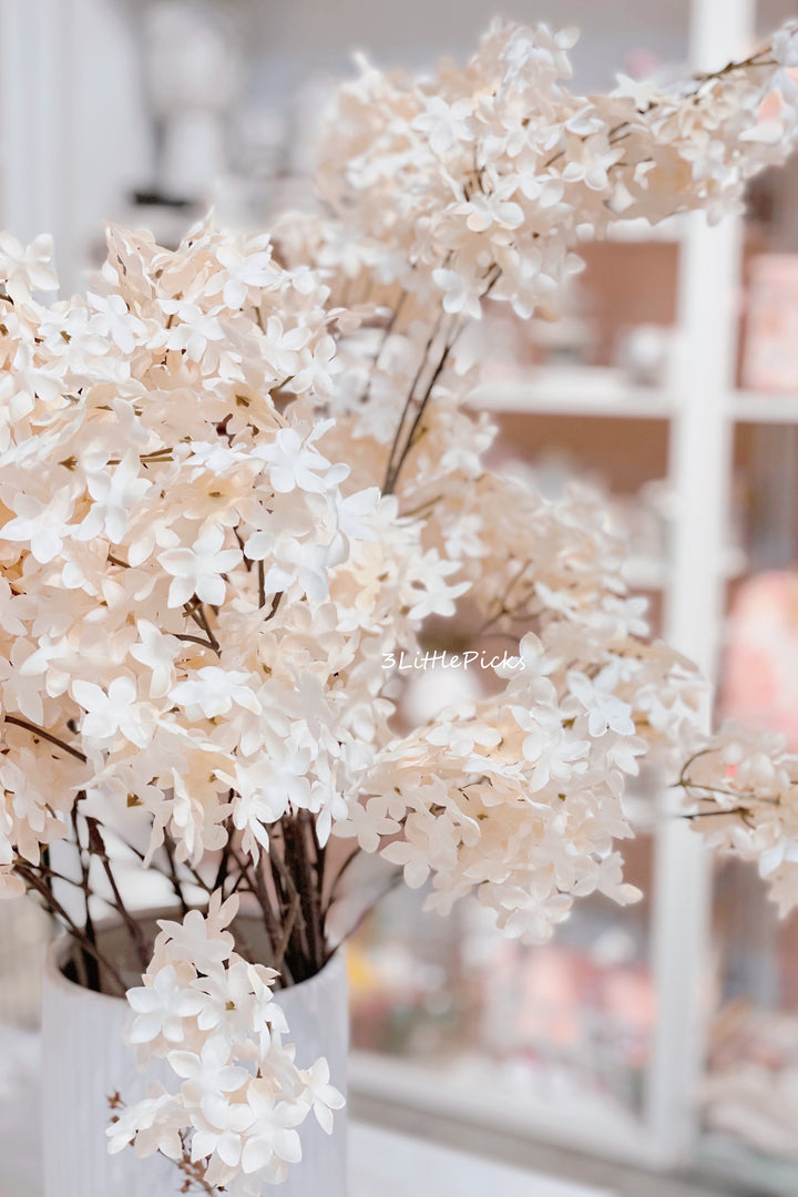 Apricot and Cream Syringa