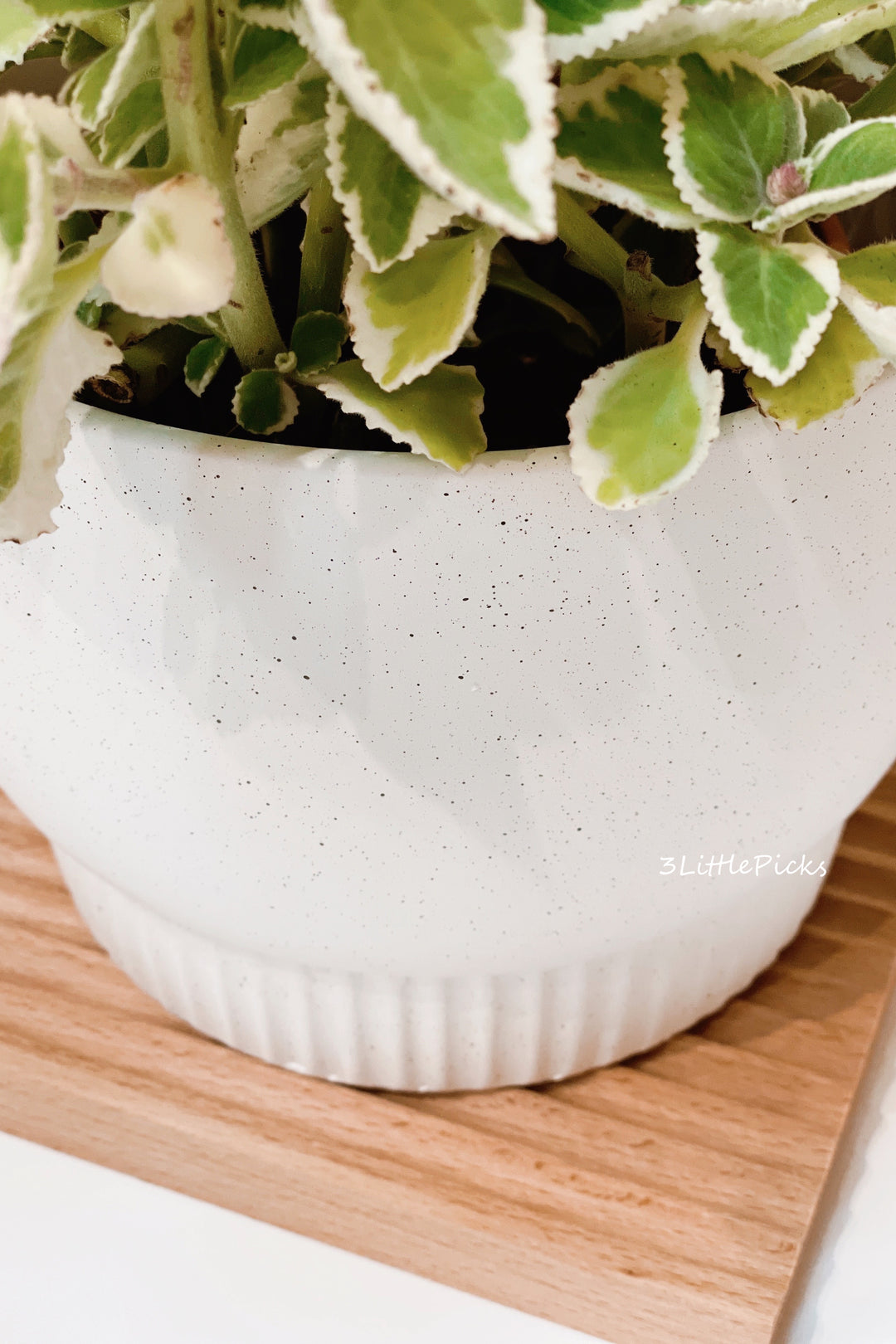 Speckled Medium Flowerpots