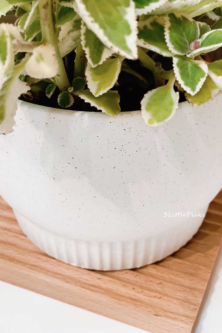 Speckled Medium Flowerpots