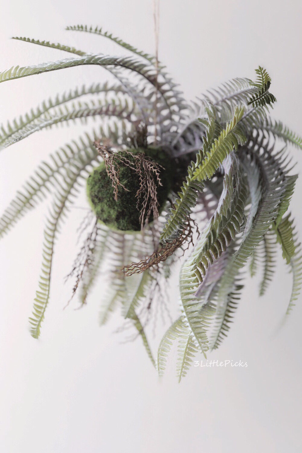 Hanging Fern, Decor, 3littlepicks - 3LittlePicks