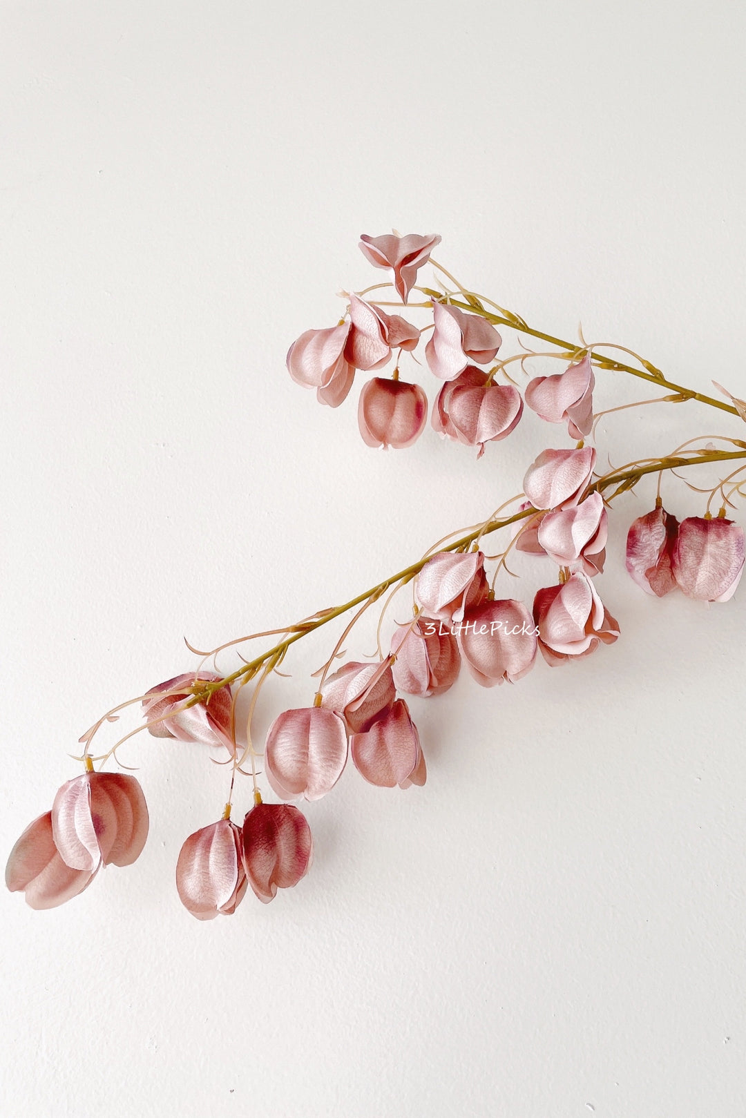 Gradient Pastel Red Bean Lantern Flowers