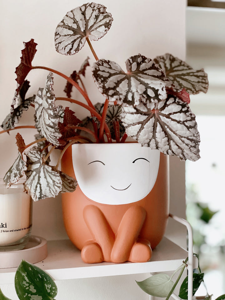 Smiley Kid Planter