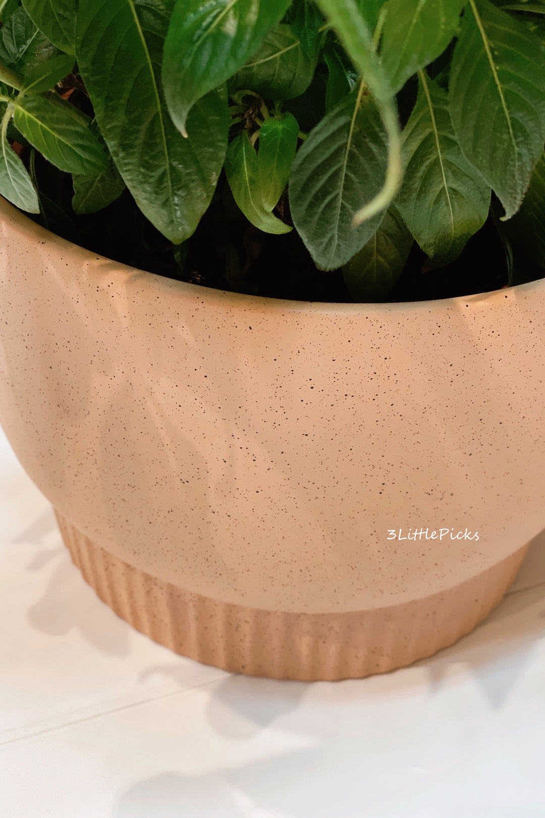 Speckled Medium Flowerpots