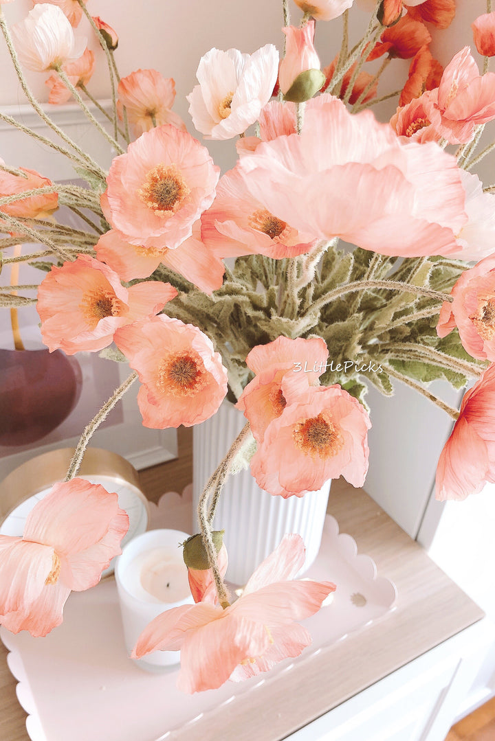 Coral Poppy