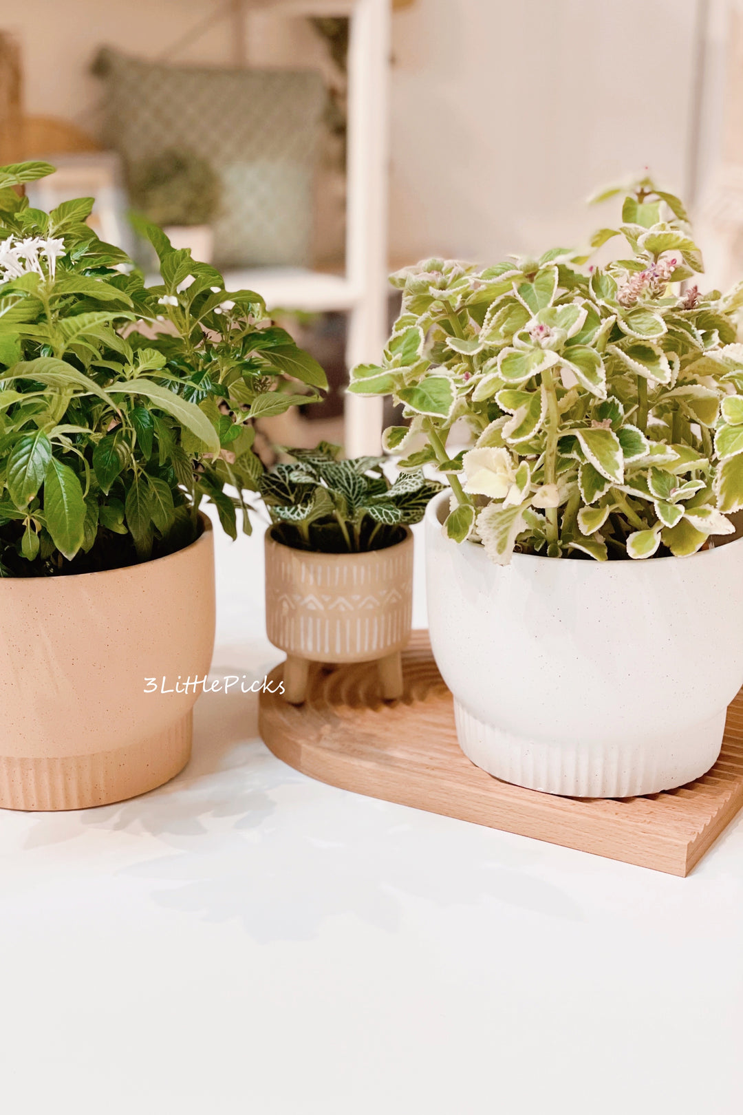 Speckled Medium Flowerpots
