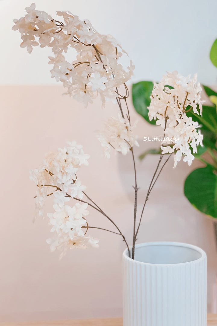 Apricot and Cream Syringa