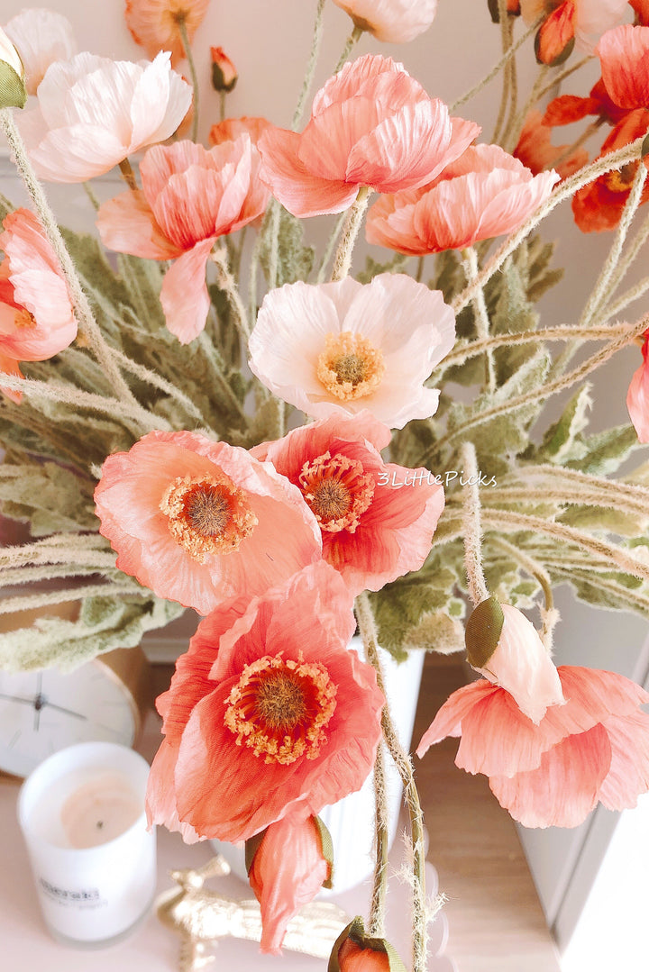 Coral Poppy