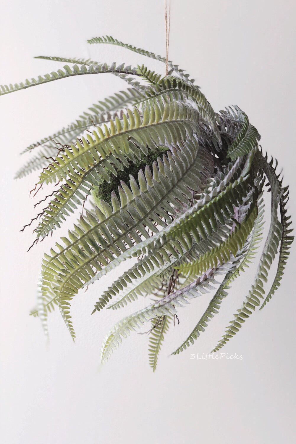 Hanging Fern, Decor, 3littlepicks - 3LittlePicks