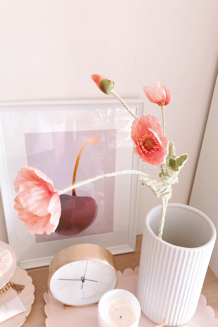 Coral Poppy