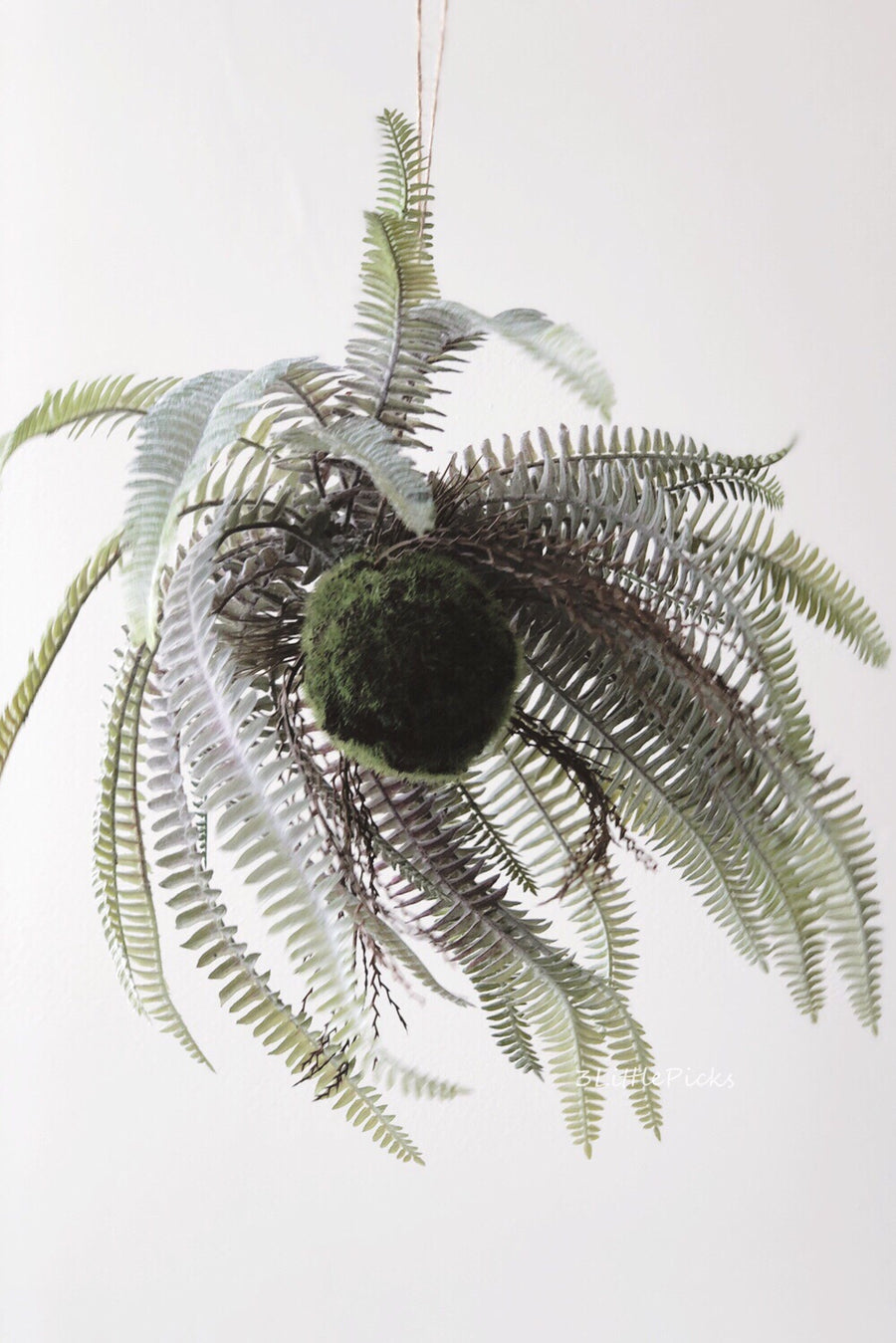 Hanging Fern, Decor, 3littlepicks - 3LittlePicks