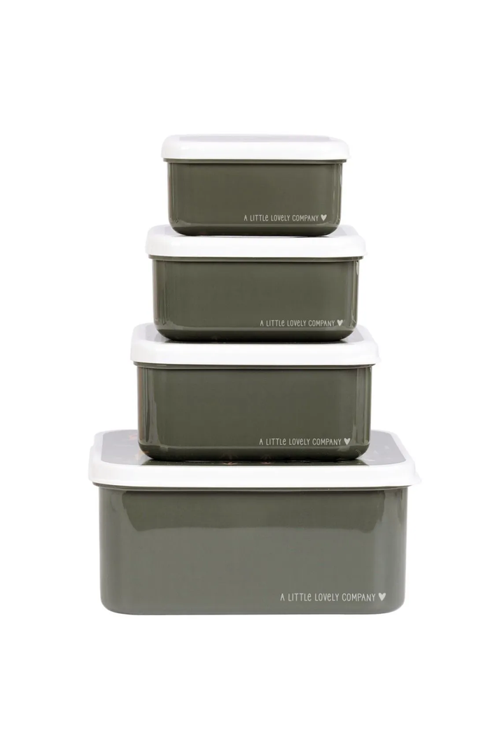 Savanna Lunch & Snack Boxes (set of 4)
